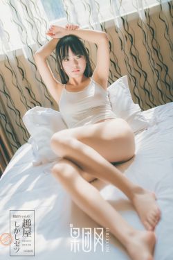 野鸭子续集